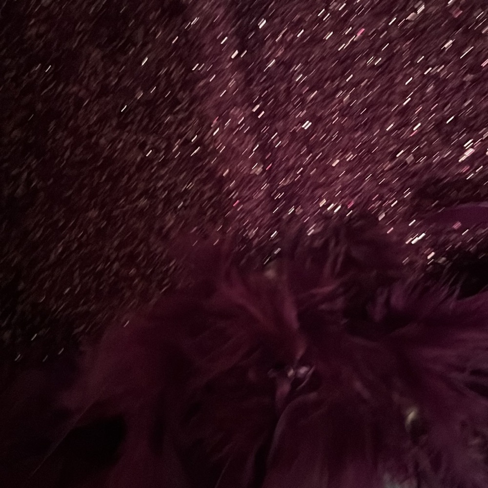 Women‘s Purple Sparkly Flapper Costume